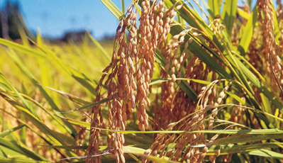 bevictorΰµÂ¹ÙÍø - ΤµÂ¹Ù·½ÍøÕ¾