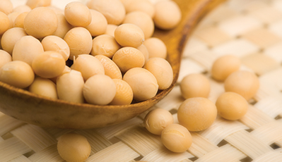 bevictorΰµÂ¹ÙÍø - ΤµÂ¹Ù·½ÍøÕ¾