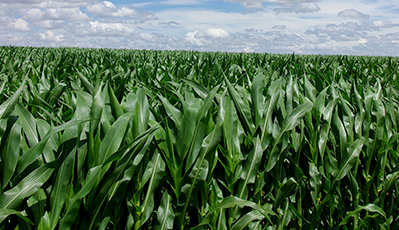 bevictorΰµÂ¹ÙÍø - ΤµÂ¹Ù·½ÍøÕ¾