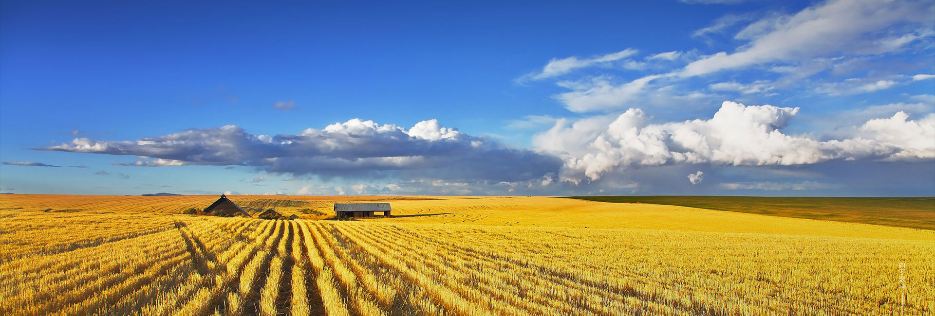 bevictorΰµÂ¹ÙÍø - ΤµÂ¹Ù·½ÍøÕ¾