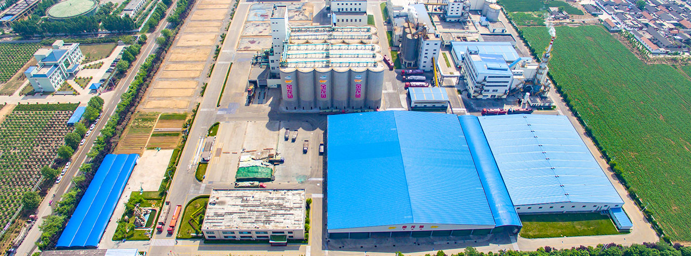 bevictorΰµÂ¹ÙÍø - ΤµÂ¹Ù·½ÍøÕ¾