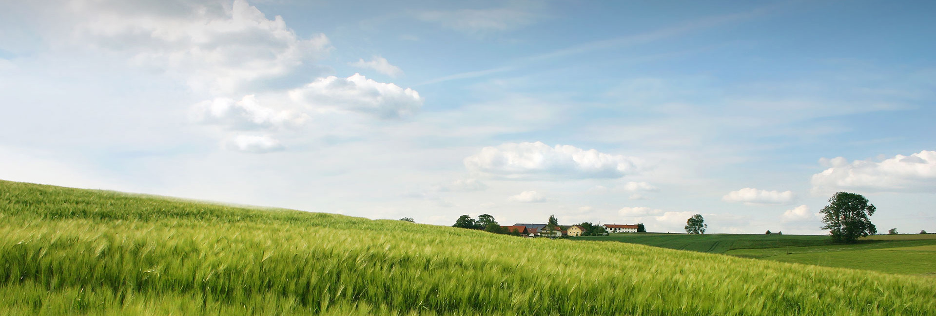 bevictorΰµÂ¹ÙÍø - ΤµÂ¹Ù·½ÍøÕ¾