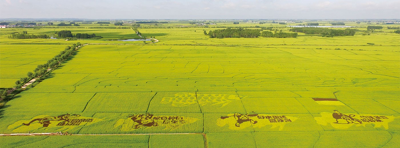 bevictorΰµÂ¹ÙÍø - ΤµÂ¹Ù·½ÍøÕ¾