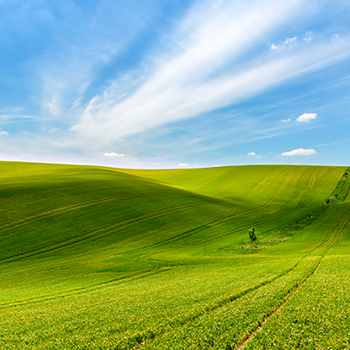 bevictorΰµÂ¹ÙÍø - ΤµÂ¹Ù·½ÍøÕ¾