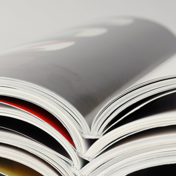 bevictorΰµÂ¹ÙÍø - ΤµÂ¹Ù·½ÍøÕ¾