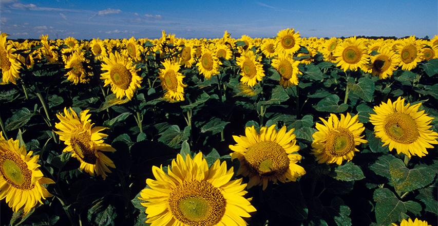 bevictorΰ¹ - Τ¹ٷվ