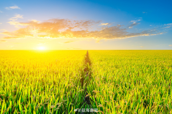 ����ͳ�ƾ�����2025��������ʳ��������