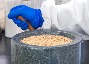 bevictorΰ�¹��� - Τ�¹ٷ���վ